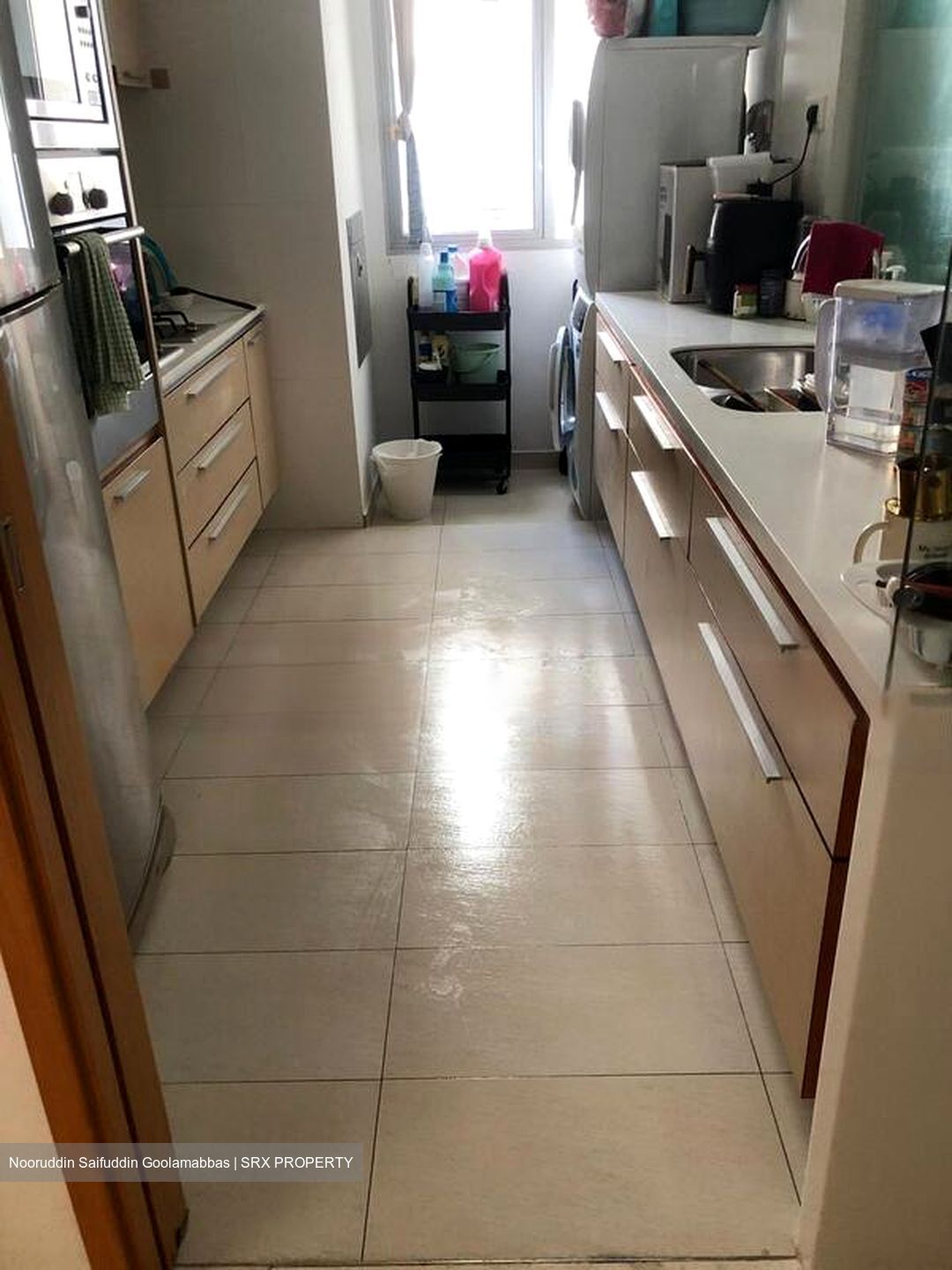 8 @ Mount Sophia (D9), Condominium #463137511